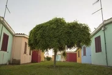 ホテル Garden River   Campsite