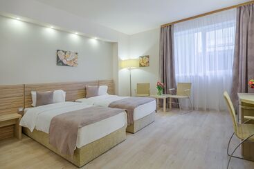 בית מלון כפרי Rin Airport