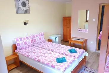 Pensió Casa Monika Ciocarliei