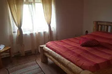 Pensjonat Casa Din Piatra