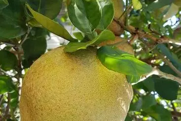 پانسیون La Cariole