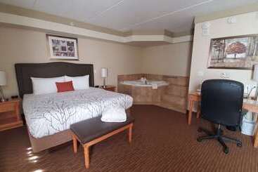 酒店 Waterloo Suites