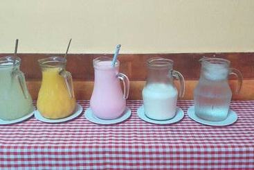 膳宿费 Pousada Ilson