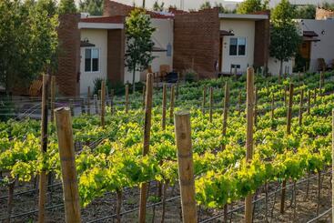 هتل Ojo Azul Resort