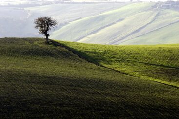 Сельский отель Sant Apollinare