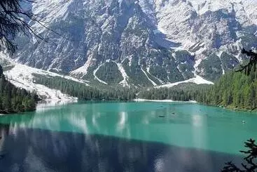 Aamiaismajoitus (B&B) Il Ciliegio Di Lurisia