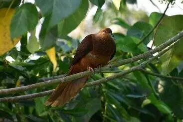 Hotel Starry Nights Luxury Camping