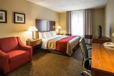 ホテル Comfort Inn & Suites