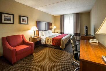 فندق Comfort Inn & Suites