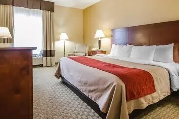 Hotell Comfort Inn