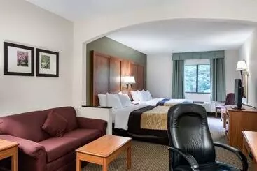 هتل Comfort Inn & Suites Lavale  Cumberland
