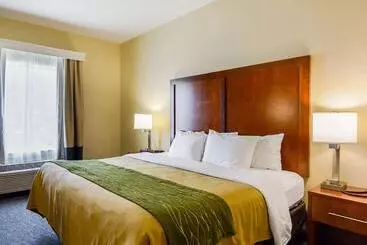 בית מלון כפרי Comfort Inn Woodstock Shenandoah