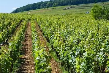 Les Paulands Chateaux & Hotels De France