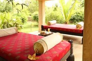 酒店 Tuli Tiger Corridor