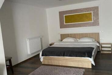 پانسیون Vila Sorina