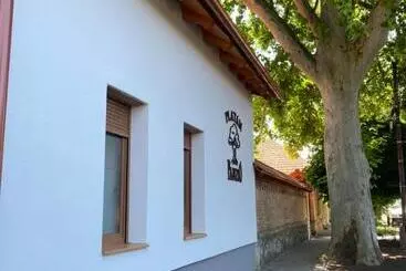 Bed and Breakfast Platán Panzió
