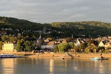 酒店 Rheinvilla Arte