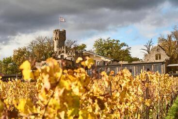 فندق Burg & Gästehaus By Schwarzenstein
