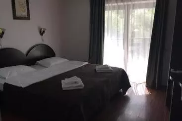 Pension Casa Transilvania