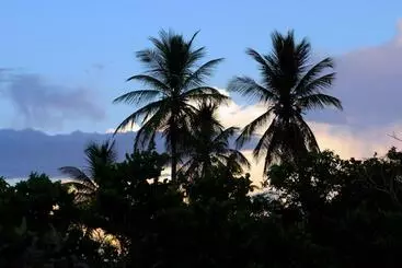 پانسیون Bayahibe Guest House