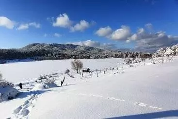 Huoneistohotelli Ege Termal Apart