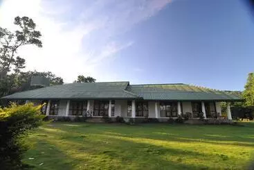 Majatalo Jungle Tide