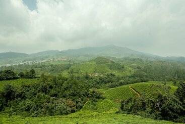 Hotel Diamond Hills Resort By Oyo Rooms