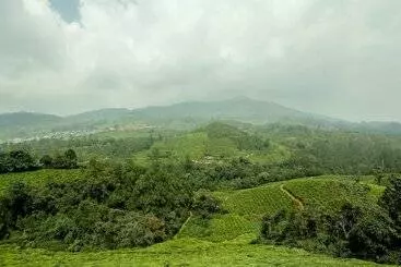 Hotel Diamond Hills Resort By Oyo Rooms