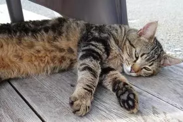 Majatalo La Petite Houssaye