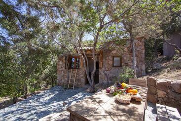 Bed & Breakfast Villa Kirssis