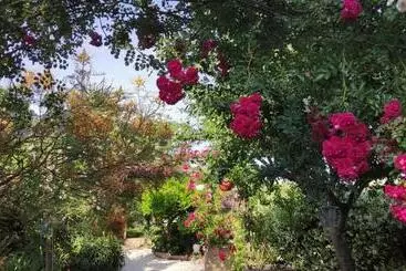 Pension Maison D Hôtes Coeur D Hérault