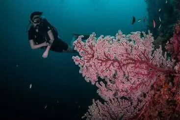 Majatalo Mango House Seafront Suites And Villas