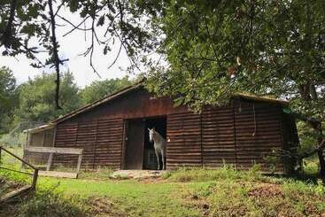 بنسيون Chambre D Hôtes Du Moulin De La Passere