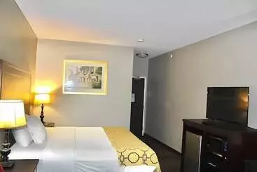 汽车旅馆 Baymont By Wyndham Anderson