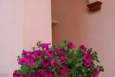 Majatalo Le Petit Coin De Maison Chante Lune