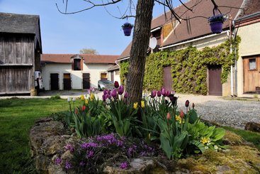 Aux Prés Du Berry Bed & Breakfast