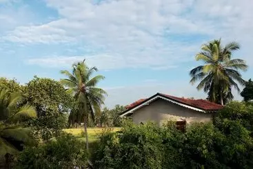 Hotel Cacao