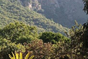 בית מלון כפרי Amafu Forest Lodge