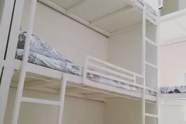 Bee Force Backpackers   Hostel