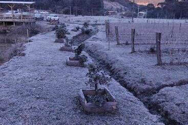 ペンション Pousada Nó De Pinho