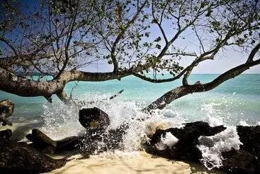 Hotelli The Flying Elephant