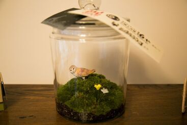 Pensão Female Only Guesthouse Tomariya