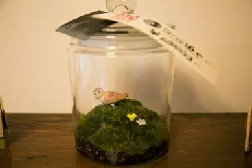 ペンション Female Only Guesthouse Tomariya