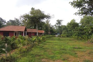Hotel Jungle Nest Homestay
