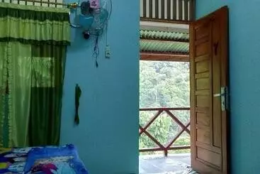 Majatalo Green Forest Tangkahan