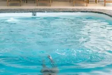 Hotel Surplage Hôtel Cavalière