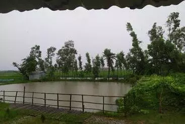 Sundarban Jungle Mahal Resort