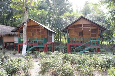 Bed & Breakfast Nature Hunt Eco Camp
