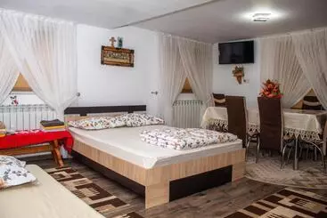 Pensiunea Casa Ioana