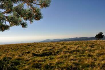 פנסיון Ana Chronique